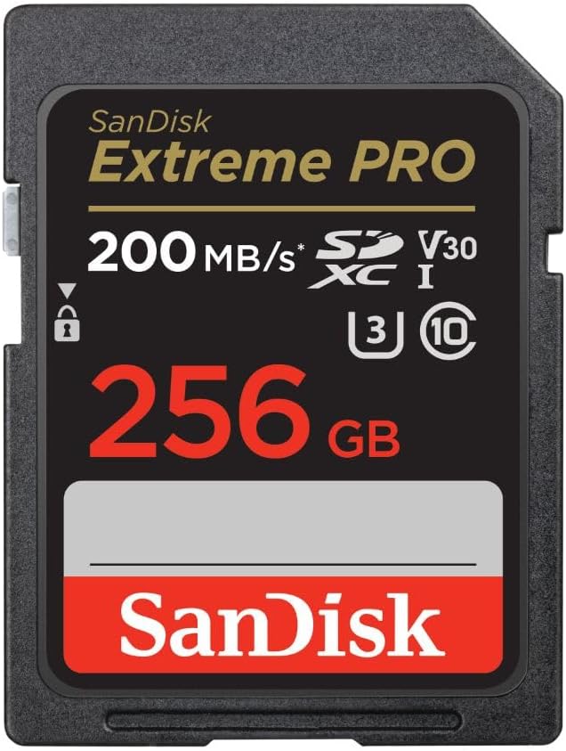 sandisk-256gb-e_0