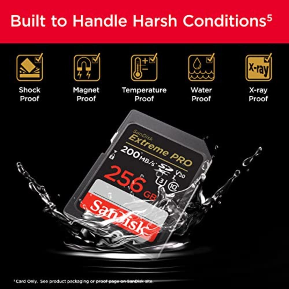 sandisk-256gb-e_4