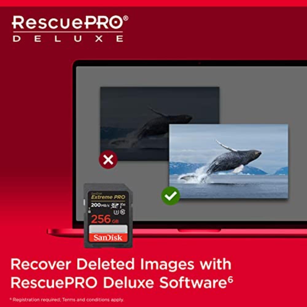 sandisk-256gb-e_5